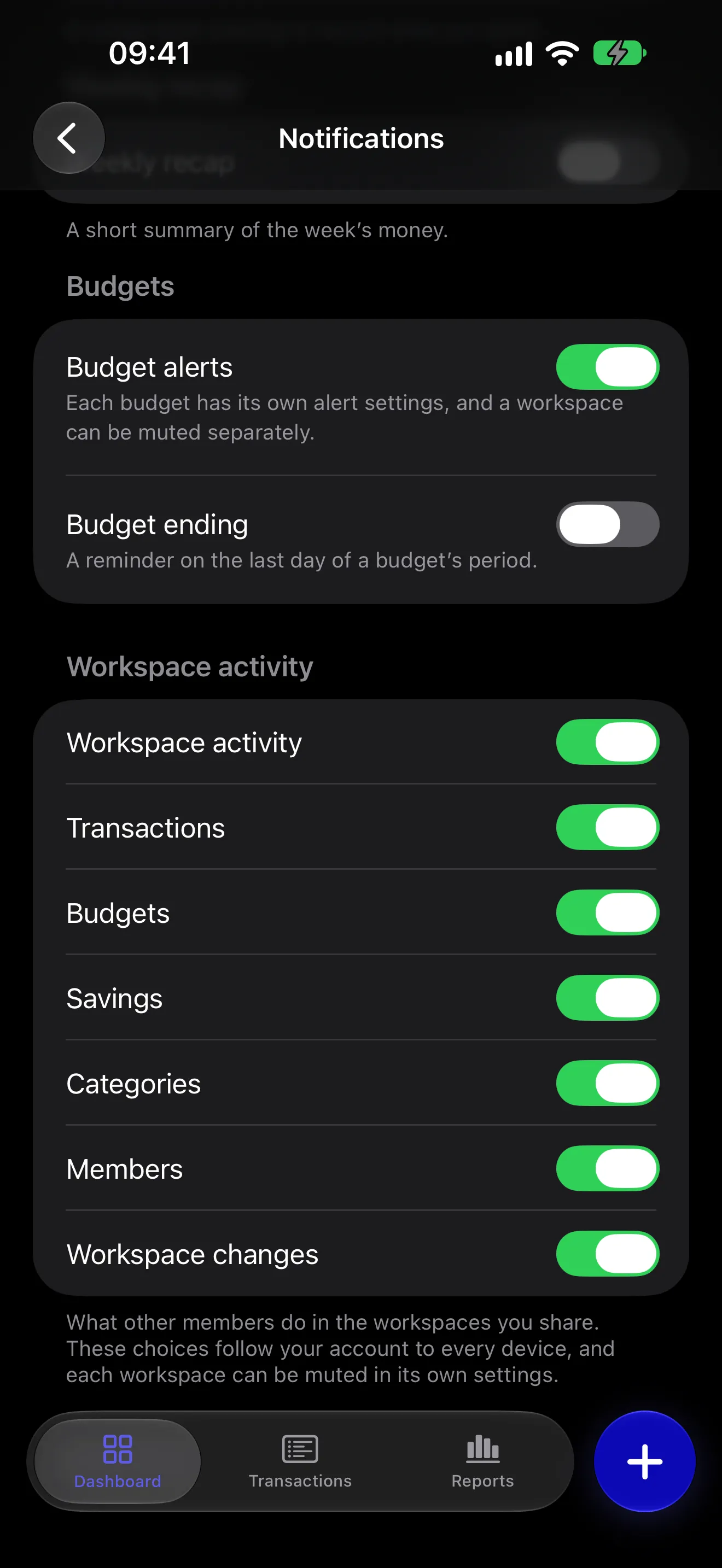 Notification settings: budget alerts, and workspace activity with its own switch for each kind of change.