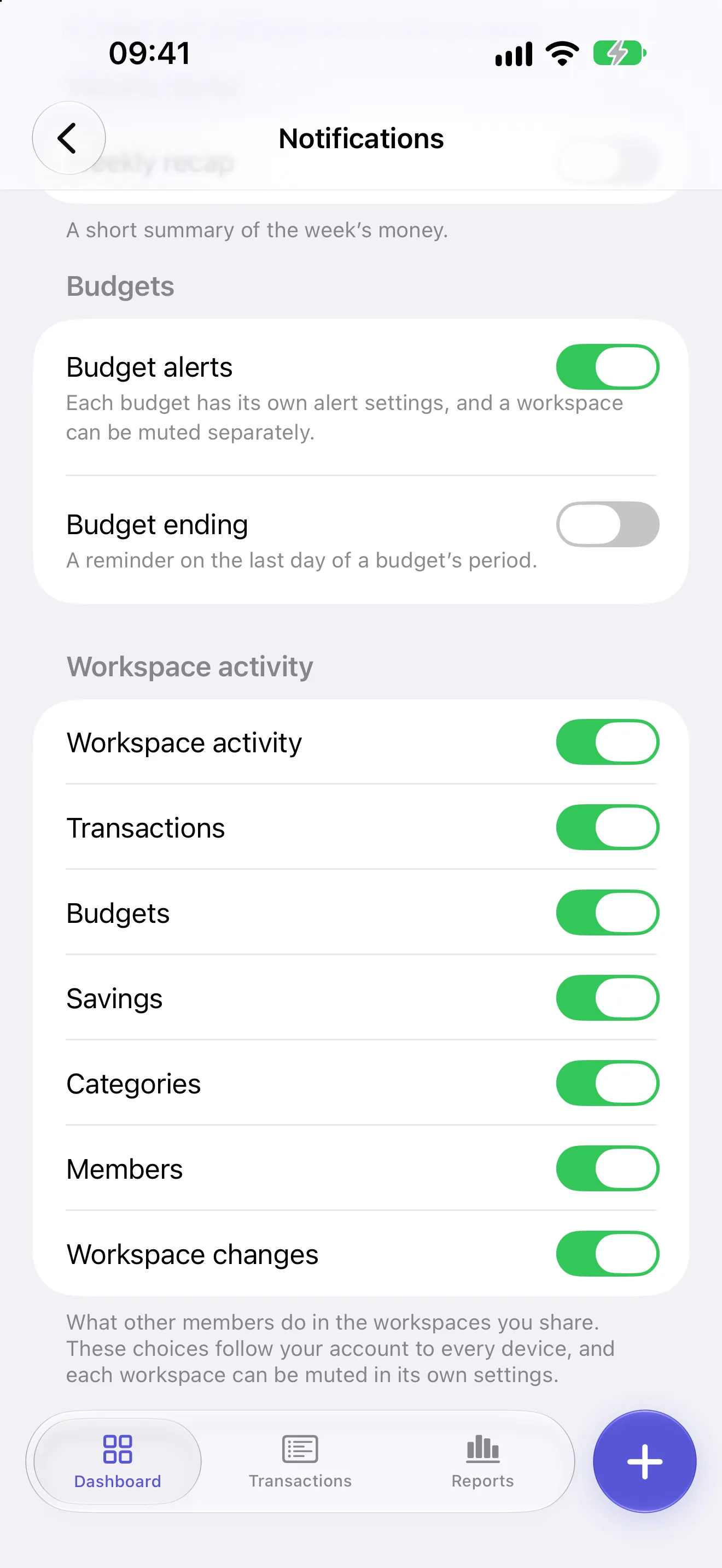 Notification settings: budget alerts, and workspace activity with its own switch for each kind of change.